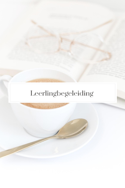 Leerlingbegeleiding Nijmegen